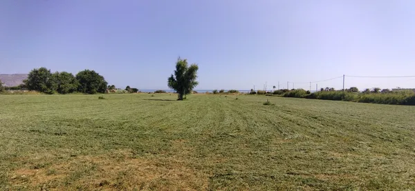 Sea-View 15,368 m² Plot for Sale in Georgioupolis, Apokoronas — photo 2