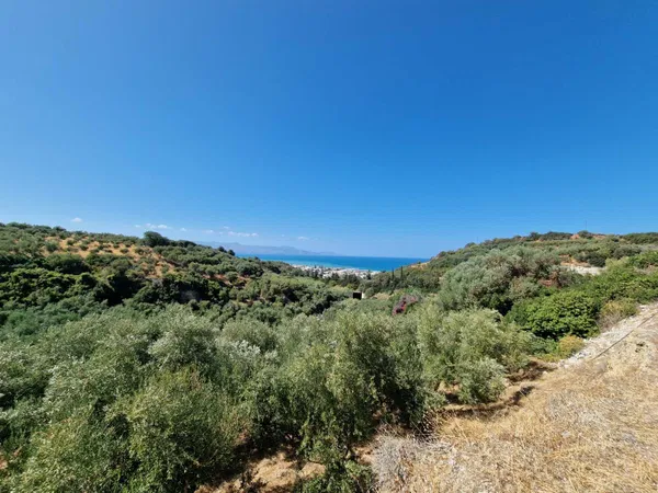 Seafront 12,764 m² Land for Sale in Platanias, Chania — photo 4