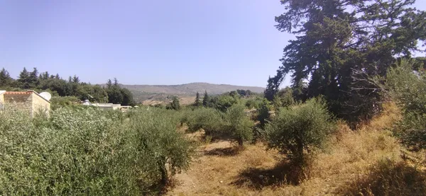 2,063 m² Plot of Land for Sale in Maza, Apokoronas — photo 3