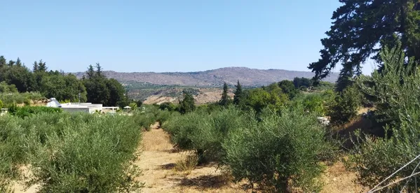 2,063 m² Plot of Land for Sale in Maza, Apokoronas — photo 4