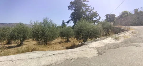 2,063 m² Plot of Land for Sale in Maza, Apokoronas