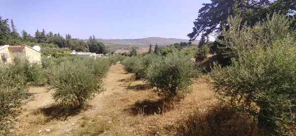2,063 m² Plot of Land for Sale in Maza, Apokoronas — photo 5