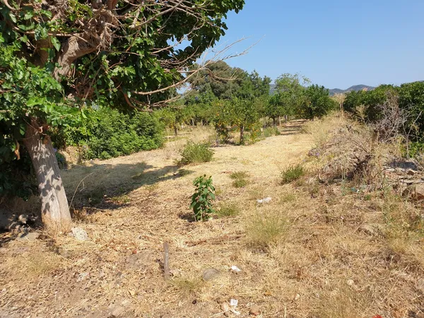 2,200 m² Plot of Land for Sale in Alikianos, Platanias — photo 5
