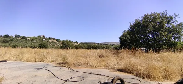 11,500 m² Plot of Land for Sale in Vryses, Apokoronas — photo 4