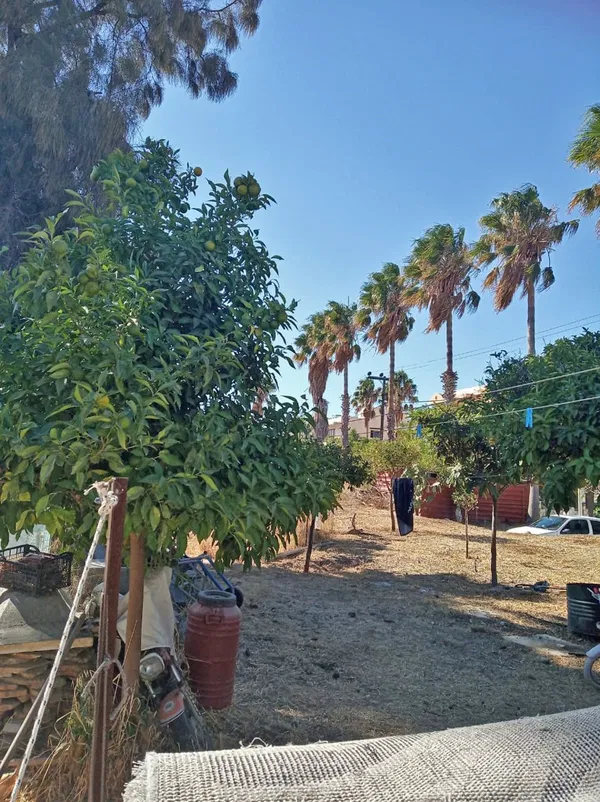 Villa for Sale in Kos, Dodecanese Islands — photo 3