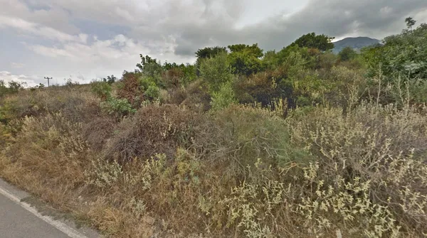 31,102 m² Plot for Sale in Kournas, Apokoronas — photo 4