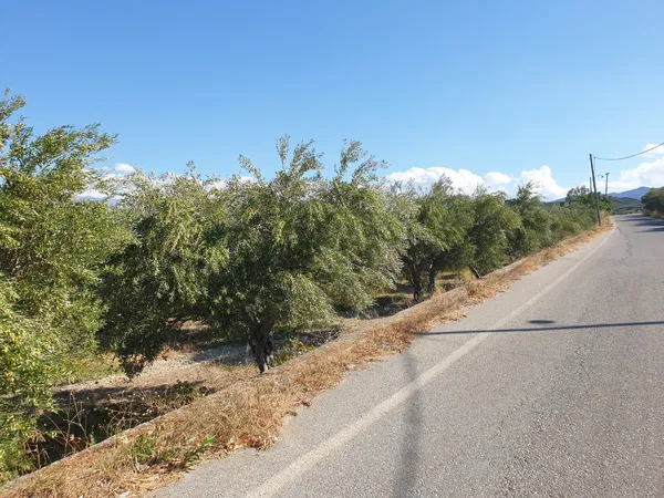 3,163 m² Land for Sale in Xamoudochori, Platanias — photo 2