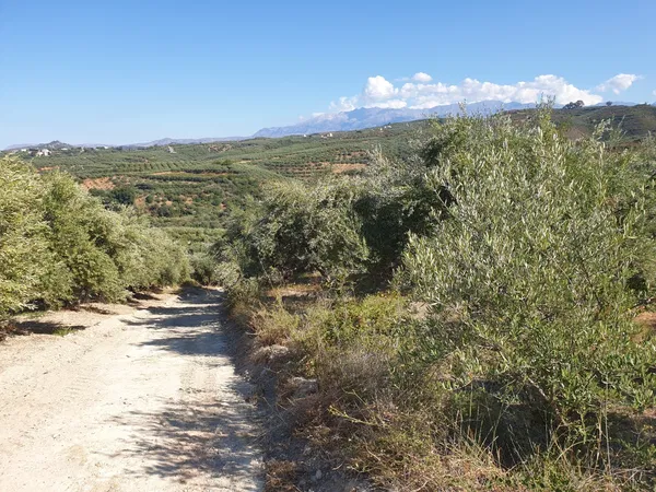3,163 m² Land for Sale in Xamoudochori, Platanias — photo 3