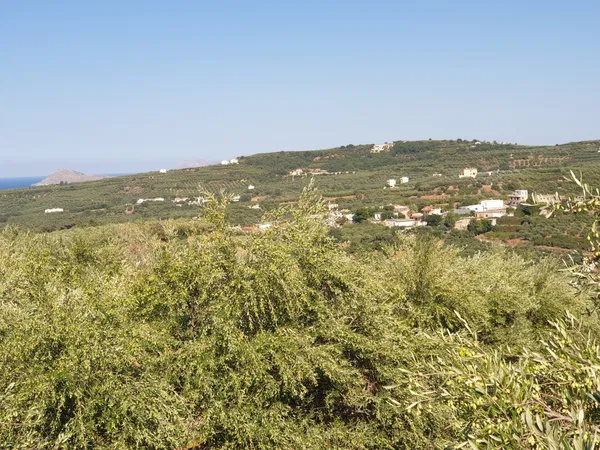 3,163 m² Land for Sale in Xamoudochori, Platanias — photo 5