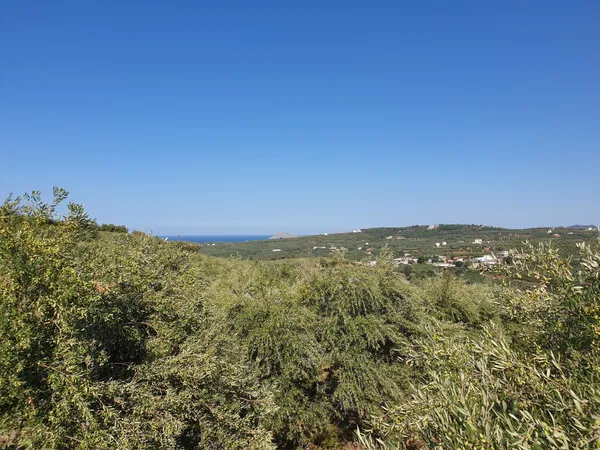 3,163 m² Land for Sale in Xamoudochori, Platanias — photo 4