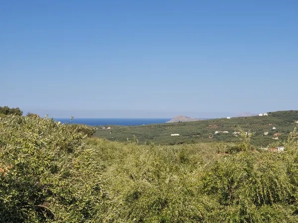 3,163 m² Land for Sale in Xamoudochori, Platanias
