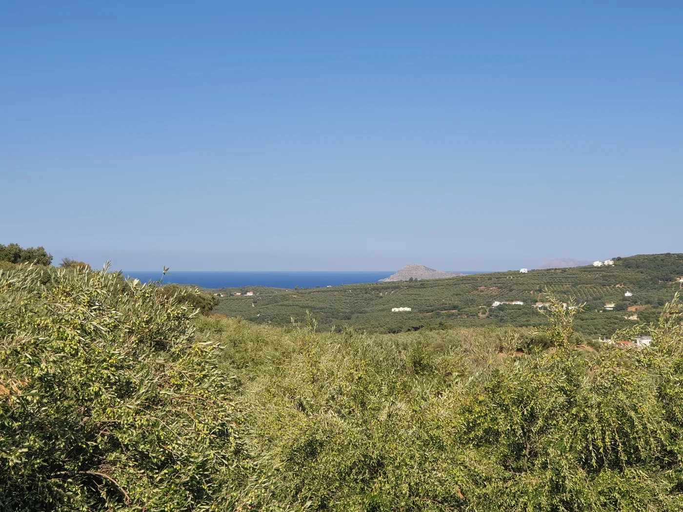 3,163 m² Land for Sale in Xamoudochori, Platanias