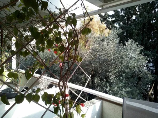 192 m² Three-Bedroom Villa for Sale in Kifisia, Athens Northern suburbs — photo 3
