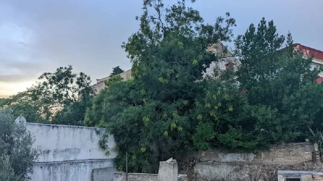 255 m² Land for Sale in Athens Historical Center, Athens Center
