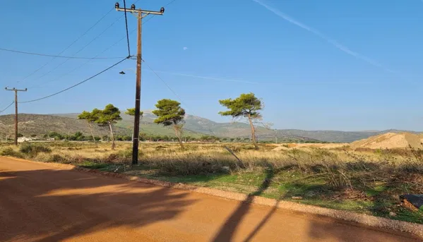Seafront 222,943 m² Plot for Sale in Nea Makri, Athens Eastern Suburbs — photo 4