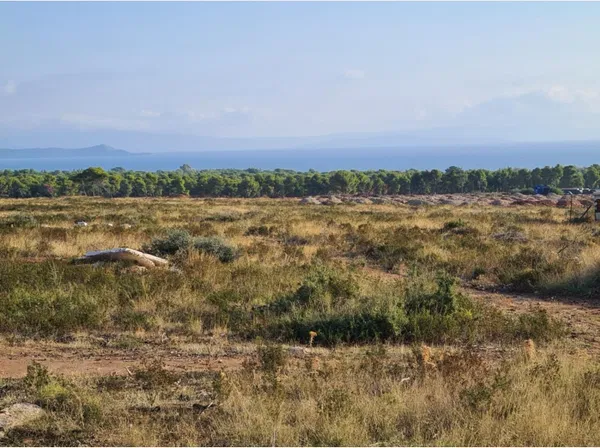 Seafront 222,943 m² Plot for Sale in Nea Makri, Athens Eastern Suburbs — photo 5