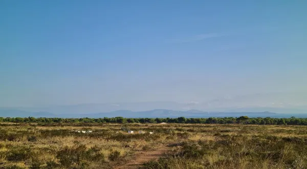 Seafront 222,943 m² Plot for Sale in Nea Makri, Athens Eastern Suburbs — photo 2