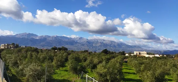 Seafront 28,747 m² Land for Sale in Xirosterni, Apokoronas — photo 5
