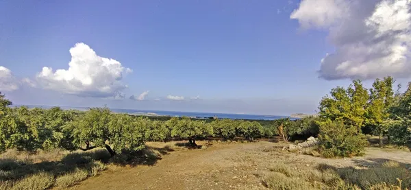 Sea-View 5,772 m² Plot of Land for Sale in Falasarna, Kissamos — photo 3