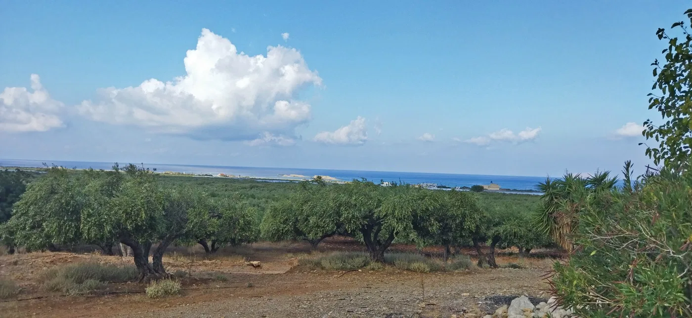 Sea-View 5,772 m² Plot of Land for Sale in Falasarna, Kissamos