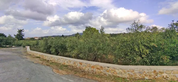 4,071 m² Land for Sale in Xirosterni, Apokoronas — photo 4
