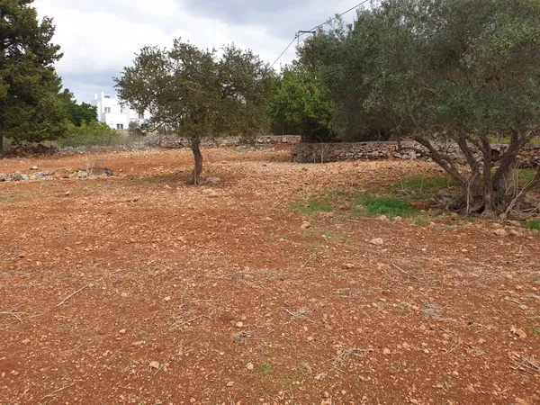1,450 m² Land for Sale in Sternes, Akrotiri