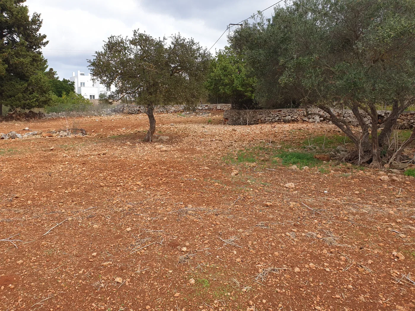 1,450 m² Land for Sale in Sternes, Akrotiri