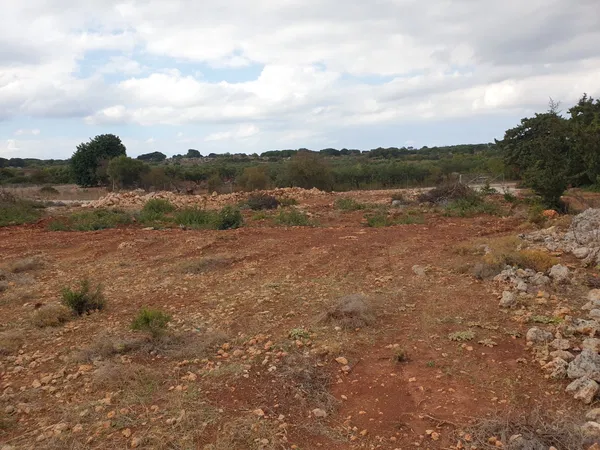 8,000 m² Plot for Sale in Sternes, Akrotiri — photo 3