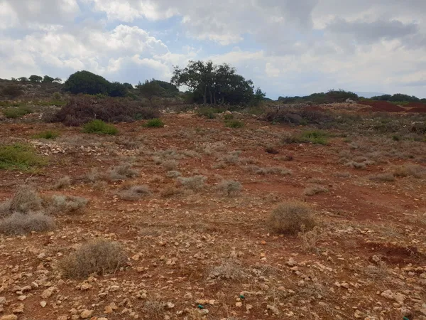 8,000 m² Plot for Sale in Sternes, Akrotiri