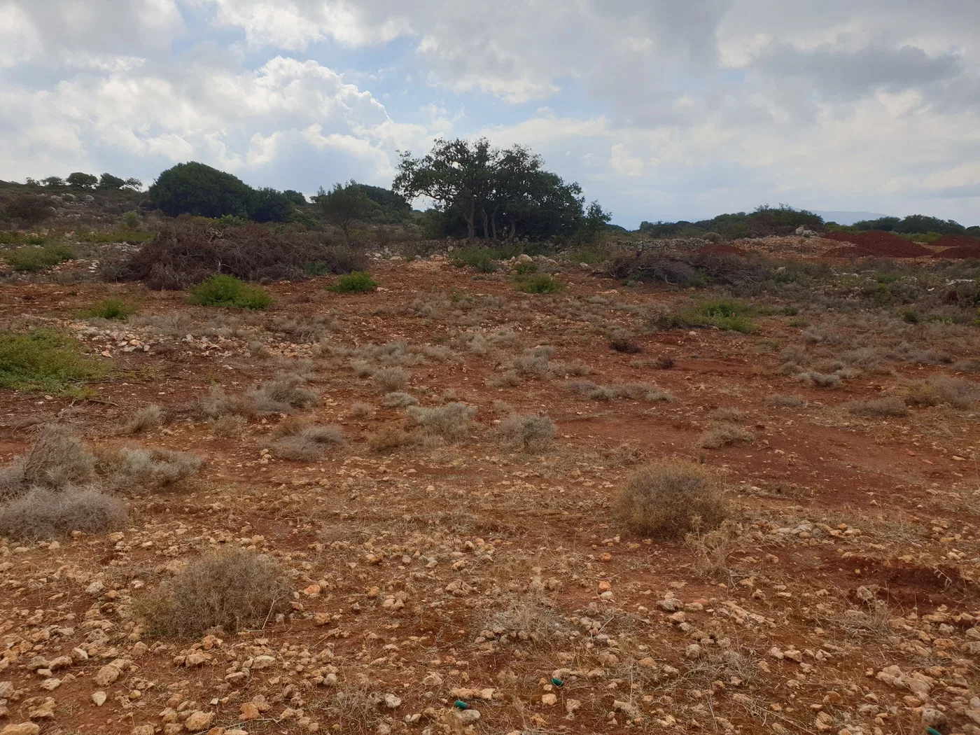 8,000 m² Plot for Sale in Sternes, Akrotiri