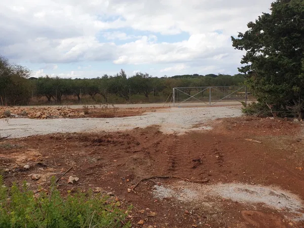 8,000 m² Plot for Sale in Sternes, Akrotiri — photo 2