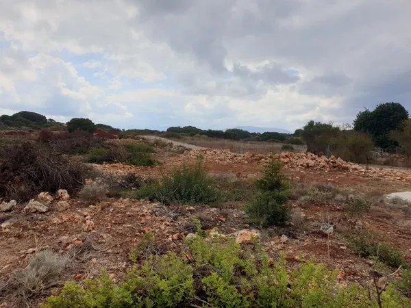 8,000 m² Plot for Sale in Sternes, Akrotiri — photo 5