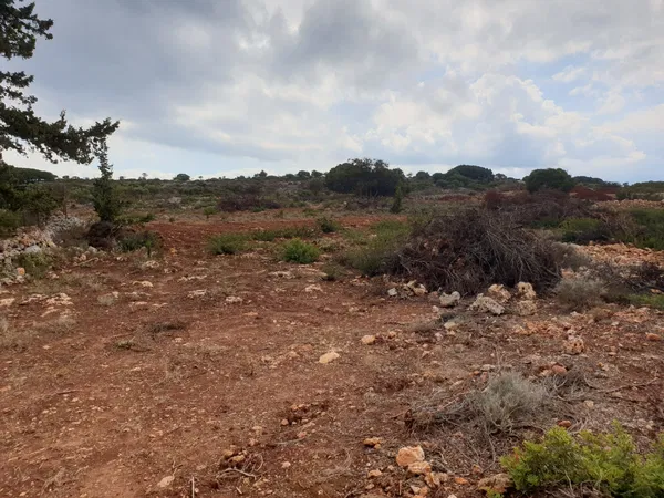 8,000 m² Plot for Sale in Sternes, Akrotiri — photo 4