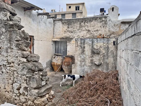 Two-Bedroom Villa for Sale in Hersonissos, Heraklion — photo 4