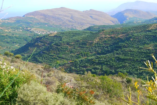 Seafront 6,123 m² Plot for Sale in Kolymbari, Platanias — photo 4