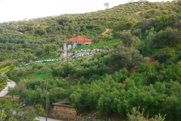 Seafront 6,123 m² Plot for Sale in Kolymbari, Platanias — photo 3