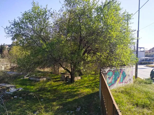 7,146 m² Plot of Land for Sale in Paiania, Athens Eastern Suburbs — photo 5