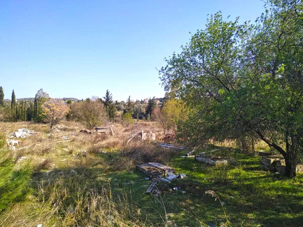 7,146 m² Plot of Land for Sale in Paiania, Athens Eastern Suburbs — photo 4