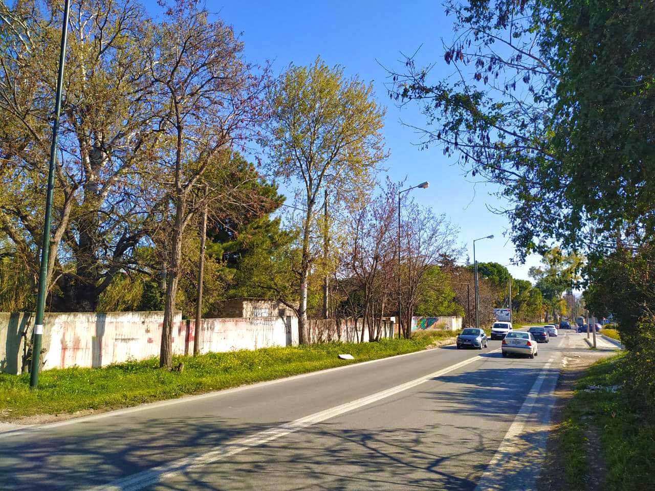 7,146 m² Plot of Land for Sale in Paiania, Athens Eastern Suburbs