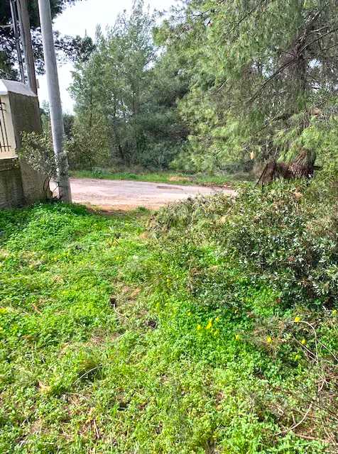 190 m² Land for Sale in Anixi, Athens Northern suburbs — photo 4