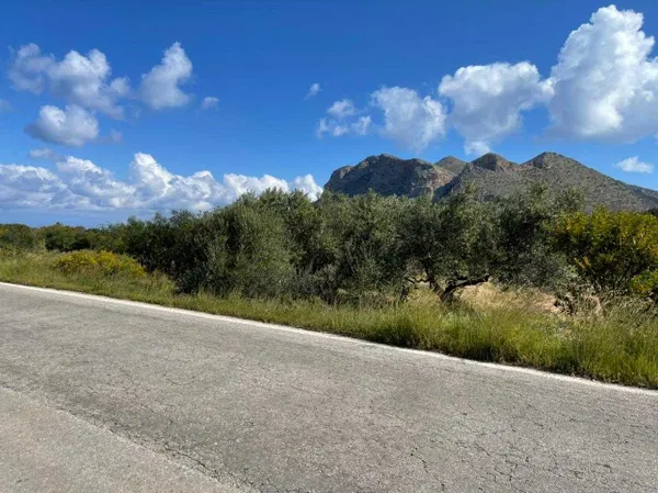 4,277 m² Plot of Land for Sale in Stavros, Akrotiri — photo 4
