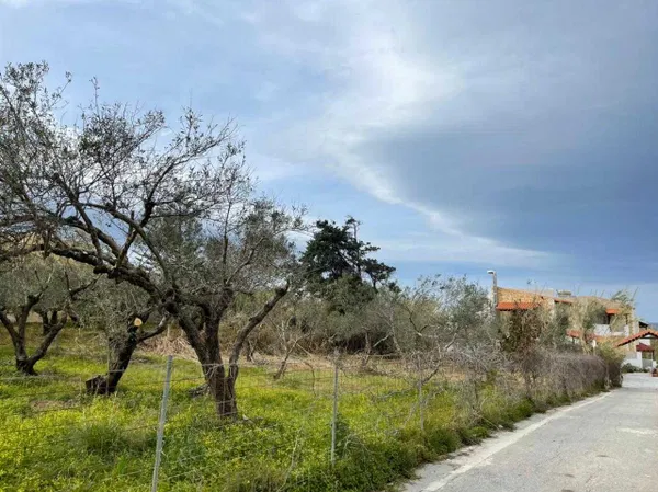 1,250 m² Land for Sale in Maleme, Platanias — photo 3