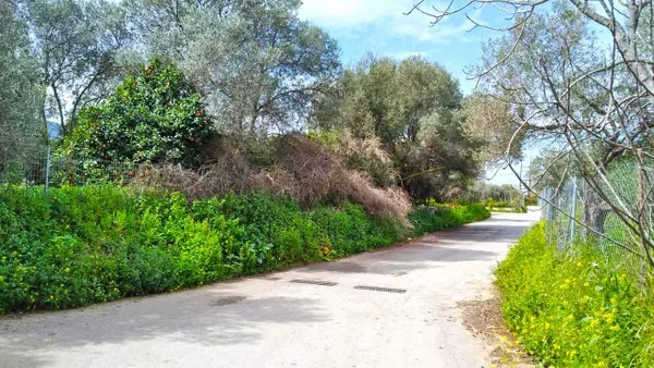 4,800 m² Plot of Land for Sale in Nerokourou, Chania — photo 5