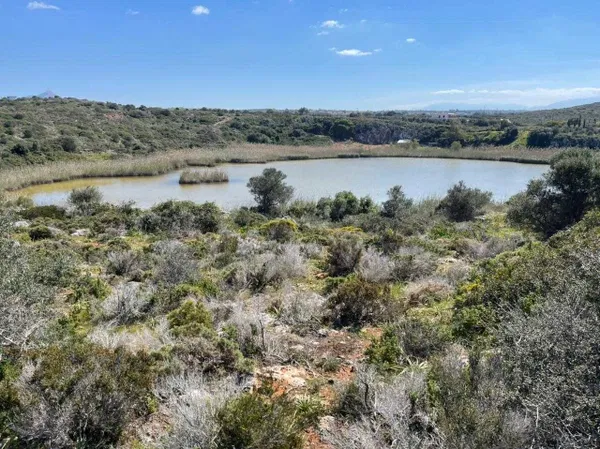 7,696 m² Plot for Sale in Tersanas, Akrotiri — photo 3