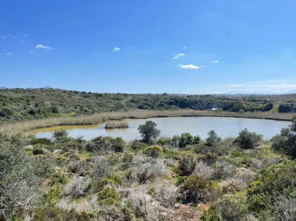 7,696 m² Plot for Sale in Tersanas, Akrotiri — photo 2