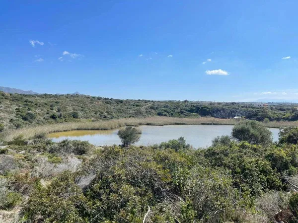 7,696 m² Plot for Sale in Tersanas, Akrotiri — photo 5