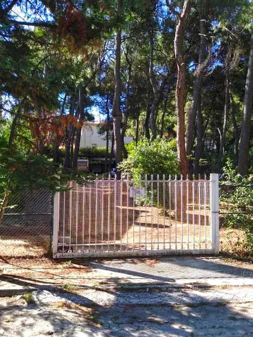 960 m² Plot for Sale in Drosia, Athens Northern suburbs