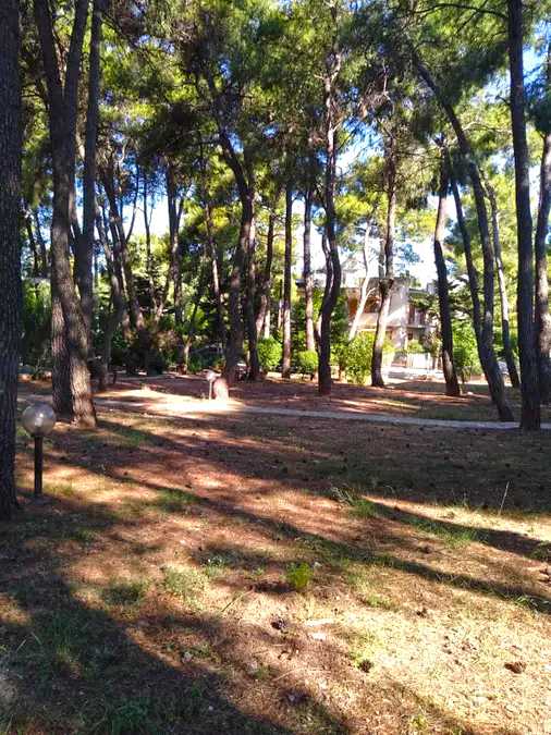 960 m² Plot for Sale in Drosia, Athens Northern suburbs — photo 2