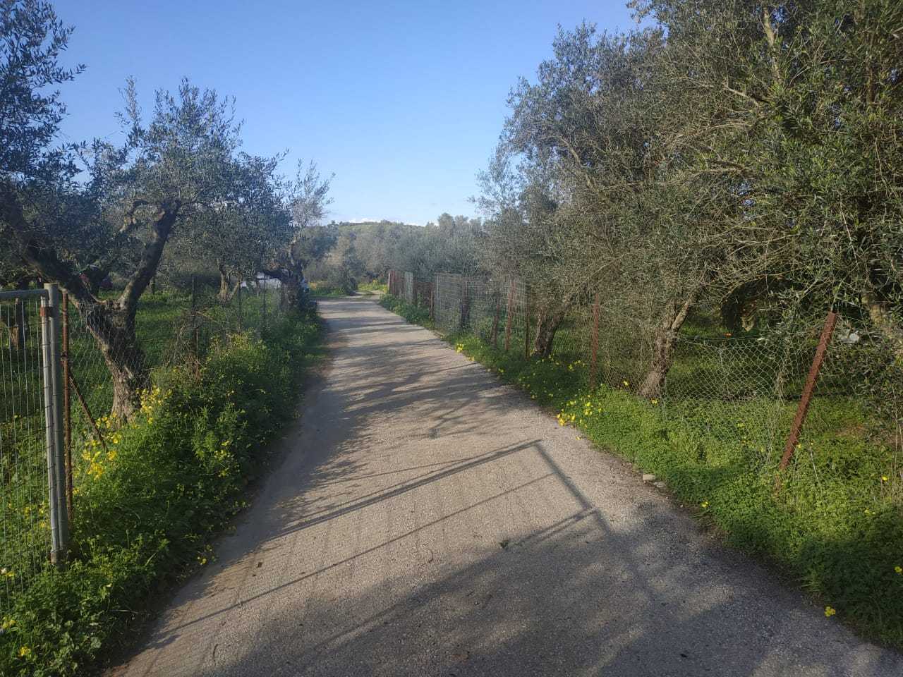 5,600 m² Plot for Sale in Vamvakopoulo, Chania