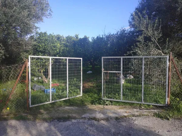 5,600 m² Plot for Sale in Vamvakopoulo, Chania — photo 5